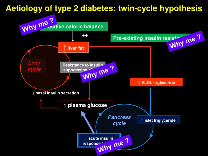 aetiology of type 2 diabetes twin cycle hypothesis