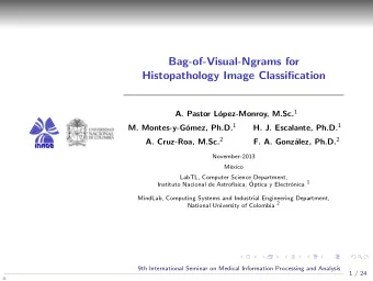 Bag-of-Visual-Ngrams for  Histopathology Image Classification opez-Monroy, M.Sc. 1  A. Pastor L