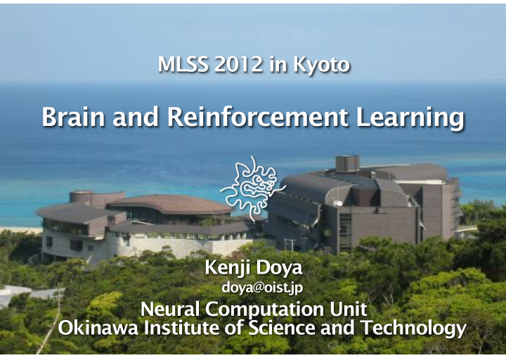brain and reinforcement learning
