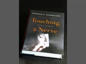 the evolution of human sociality is  the fundamental condundrum  of biology  EO Wilson 1975  MY