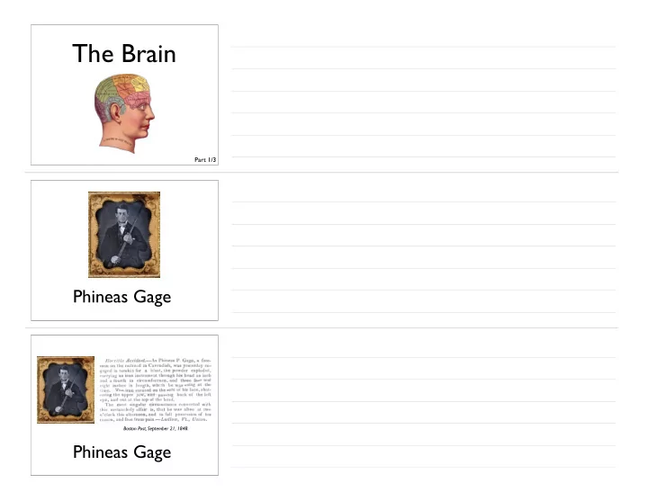 the brain