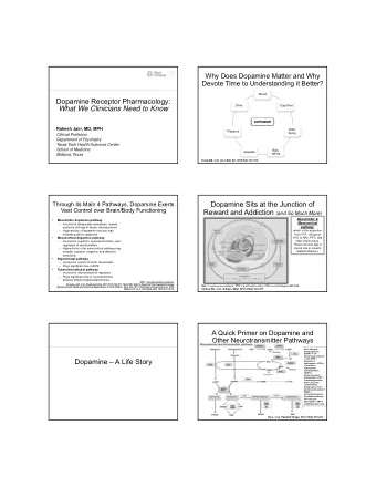 Dopamine Receptor Pharmacology:  Drive  Cognition  What We Clinicians Need to Know  DOPAMINE
