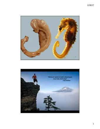 2/28/17  1  Whoever wants to reach a distant goal  must take small steps  --Saul Bellow  1