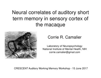 Neural correlates of auditory short  term memory in sensory cortex of  the macaque  Corrie R.