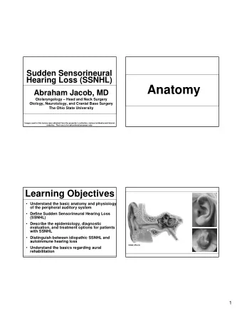 Anatomy  Abraham Jacob, MD  Otolaryngology  Head and Neck Surgery  Otology, Neurotology, and