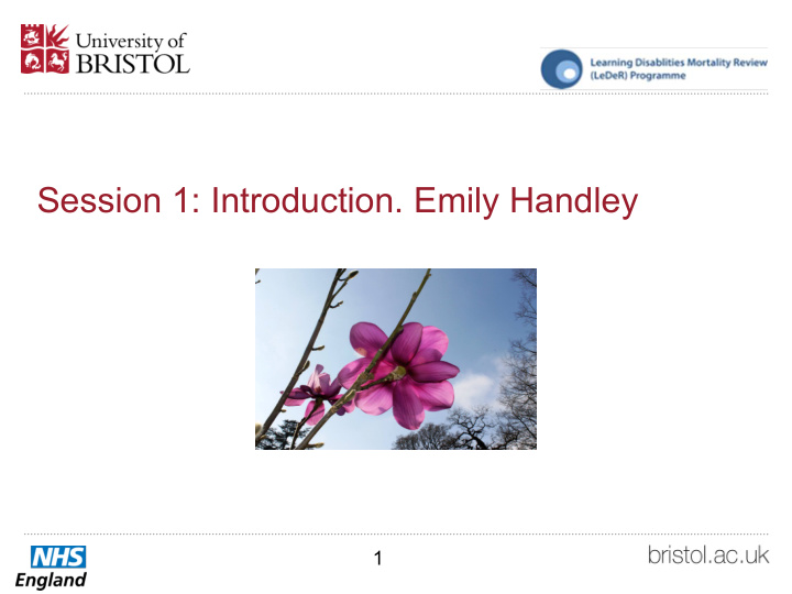 session 1 introduction emily handley