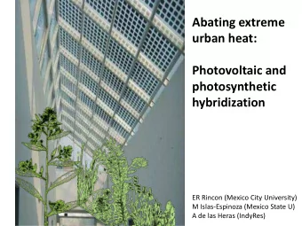 Abating extreme  urban heat:  Photovoltaic and  photosynthetic  hybridization  ER Rincon (Mexico