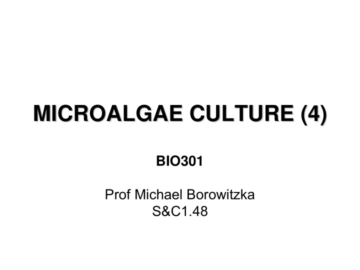 microalgae culture 4 microalgae culture 4