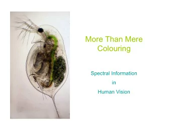 More Than Mere  Colouring  Spectral Information  in  Human Vision  Kathleen Akins  Martin Hahn