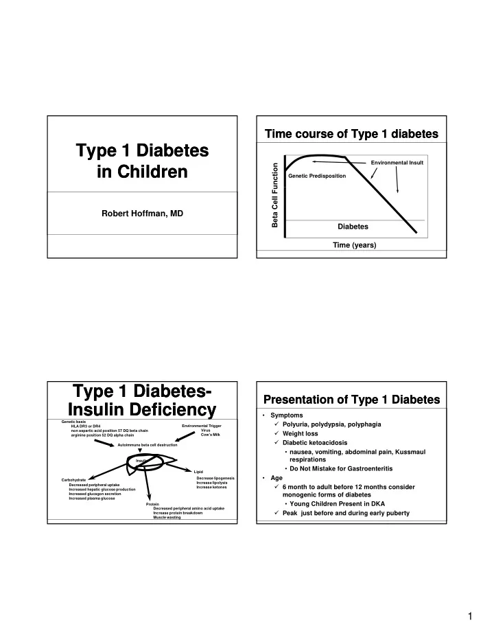 type 1 diabetes type 1 diabetes