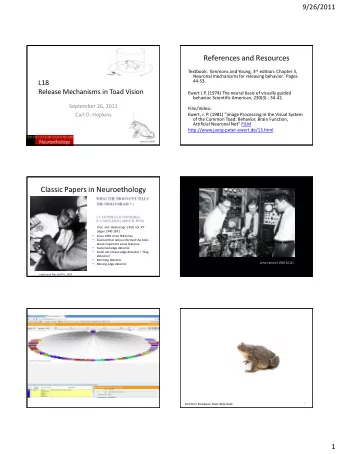 References and Resources Textbook:  Simmons and Young, 3 rd edition: Chapter 3,  Neuronal