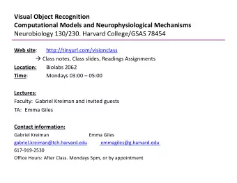 Visual Object Recognition  Computational Models and Neurophysiological Mechanisms  Neurobiology
