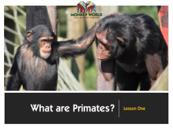 Clavicle  Opposable thumbs  Fingernails  Binocular &amp; colour vision  Generalised