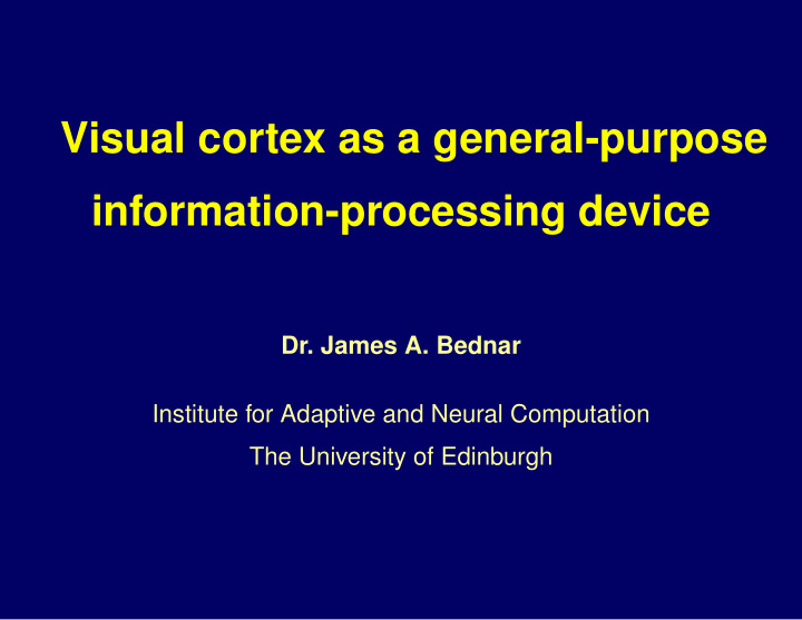 visual cortex as a general purpose information processing