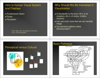 Intro to Human Visual System  Why Should We Be Interested In  and Displays  Visualization