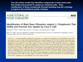 The cell culture model has identified compounds in bean seed coats  that inhibit and promote Fe