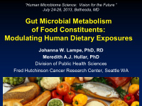 gut microbial metabolism of food constituents modulating