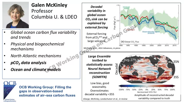 ocb working group on carbon gaps
