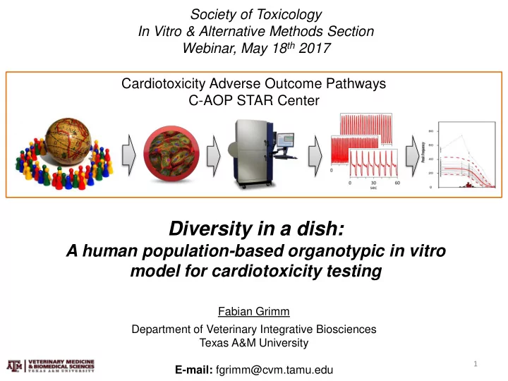 diversity in a dish