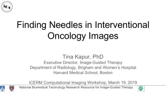 Finding Needles in Interventional  Oncology Images  Tina Kapur, PhD  Executive Director,