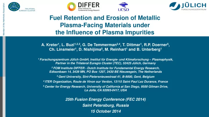 plasma facing materials under