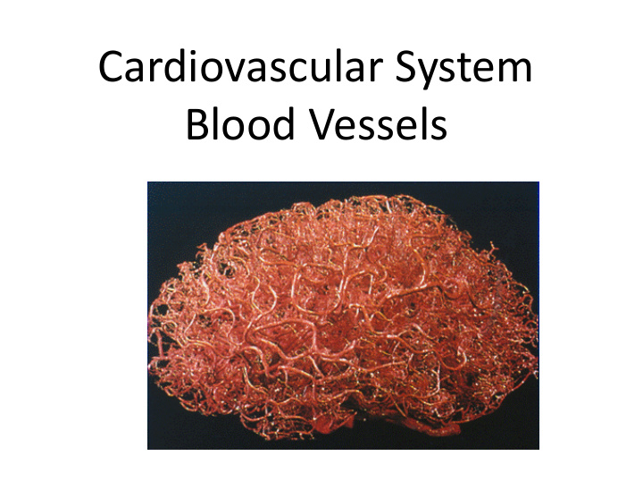 cardiovascular system blood vessels structure of blood