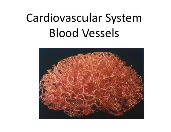 Cardiovascular System Blood Vessels Structure of Blood Vessels  The three layers (tunics)