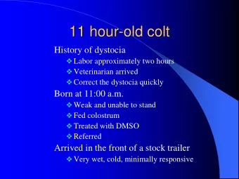 11 hour-old colt  History of dystocia  Labor approximately two hours  Veterinarian arrived