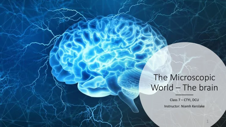 the microscopic world the brain