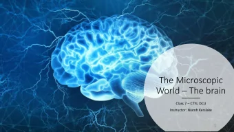 The Microscopic World  The brain Class 7  CTYI, DCU  Instructor: Niamh Kerslake  1  If you