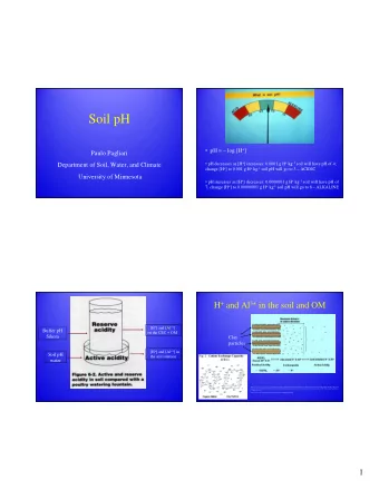 Soil pH  pH =  log [H + ]  Paulo Pagliari  pH decreases as [H + ] increases: 0.0001 g H +
