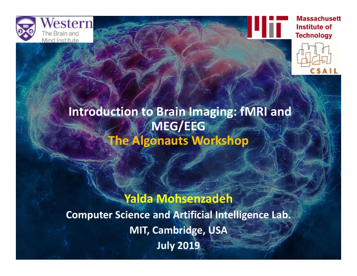 introduction to brain imaging fmri and meg eeg the