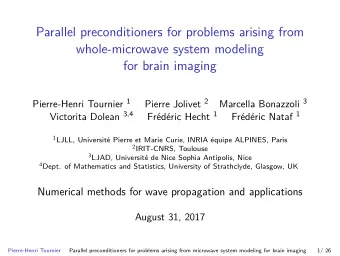 Parallel preconditioners for problems arising from  whole-microwave system modeling  for brain