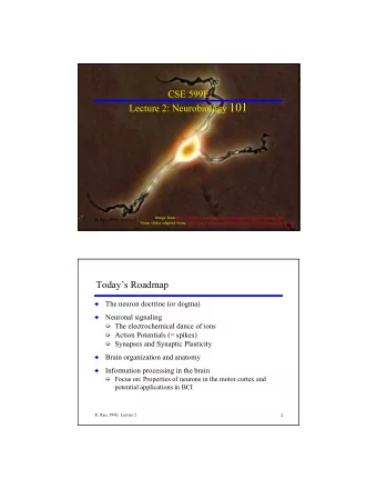 Lecture 2: Neurobiology 101  Image from http://clasdean.la.asu.edu/news/images/ubep2001/neuron3.jpg