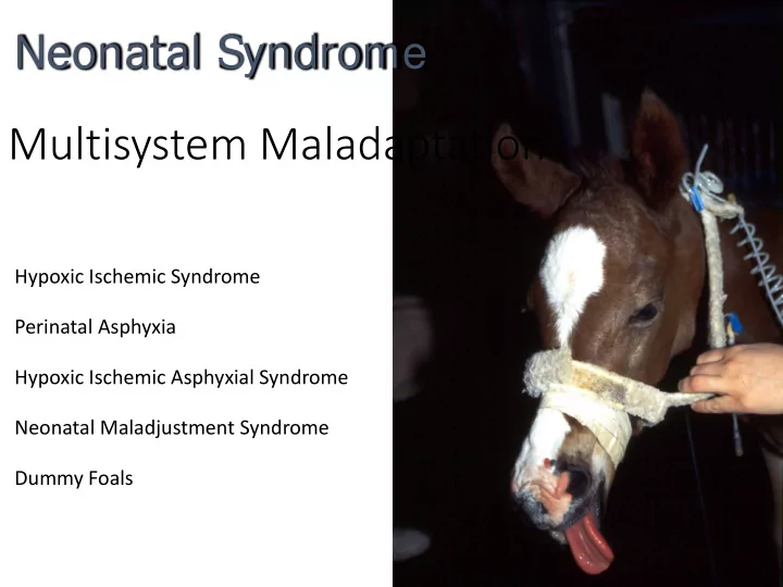 multisystem maladaptation