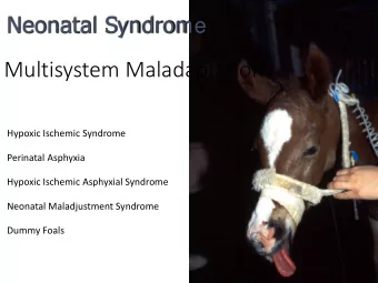 Multisystem Maladaptation  Hypoxic Ischemic Syndrome  Perinatal Asphyxia  Hypoxic Ischemic