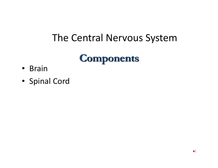 the central nervous system components