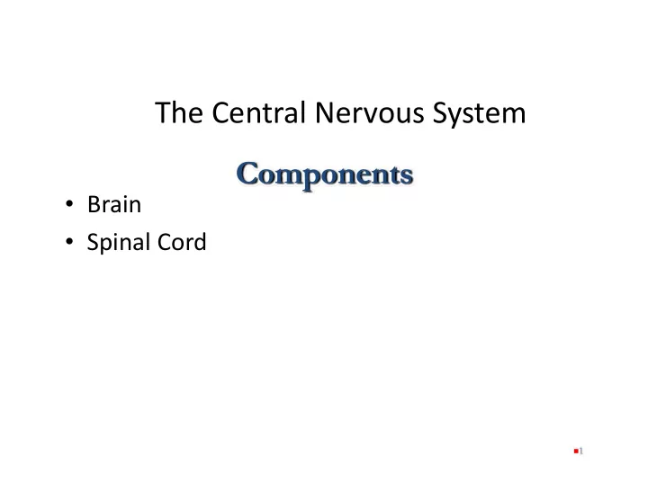 the central nervous system components