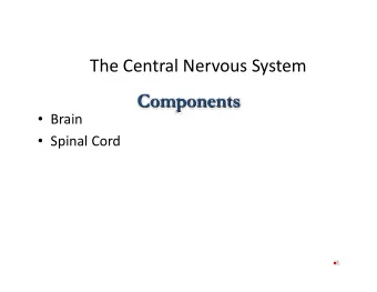 The Central Nervous System  Components  Brain  Spinal Cord  1 Protection of the Brain