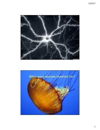 What were neurons invented for?  2  1  1/25/17  To move things is all that mankind can  do...for