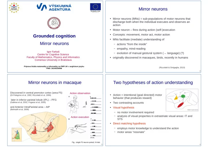 mirror neurons