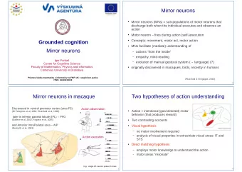 Mirror neurons  Mirror neurons (MNs) = sub-populations of motor neurons that  discharge both
