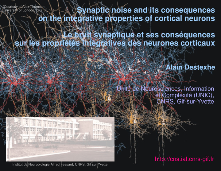 synaptic noise and its consequences