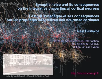Synaptic noise and its consequences  University of London, UK)  on the integrative properties of