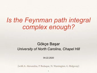 Is the Feynman path integral  complex enough? Gke Ba  ar  University of North Carolina,