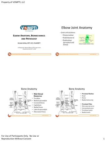 Elbow Joint Anatomy  www.vompti.com  Joint articulations  Humeroulnar E LBOW A NATOMY , B