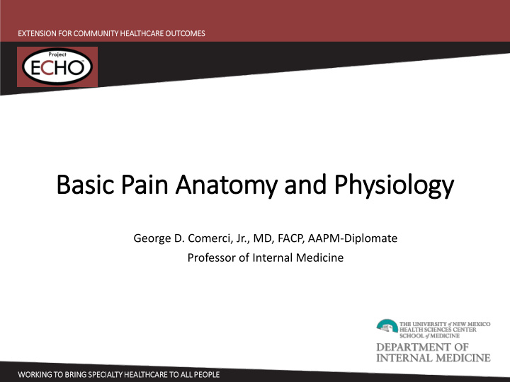 basic p c pain a anatomy and p physiology gy