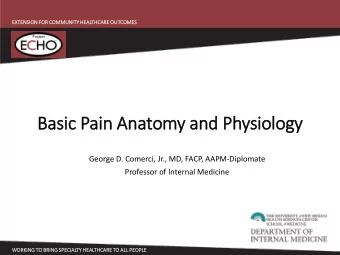 Basic P  c Pain A  Anatomy and P  Physiology  gy  George D. Comerci, Jr., MD, FACP, AAPM-Diplomate