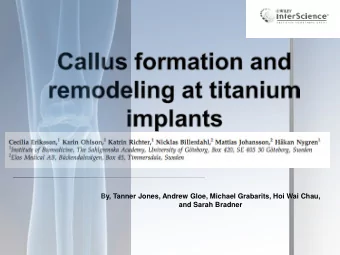 By, Tanner Jones, Andrew Gloe, Michael Grabarits, Hoi Wai Chau,  and Sarah Bradner  University