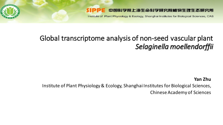 gl global transcriptome analysis of non se seed vasc